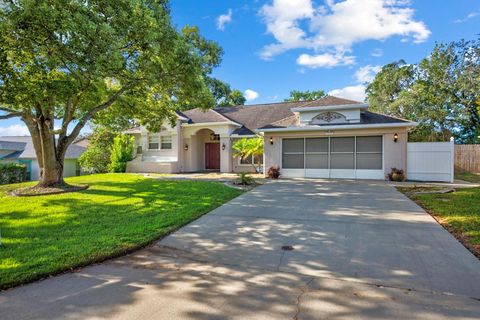 Photo of 8088 Spanish Oak Drive, Spring Hill, FL 34606 (MLS # W7880033)