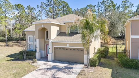 Tiny photo for 33840 Terragona Drive, Sorrento, FL 32776 (MLS # O6387153)