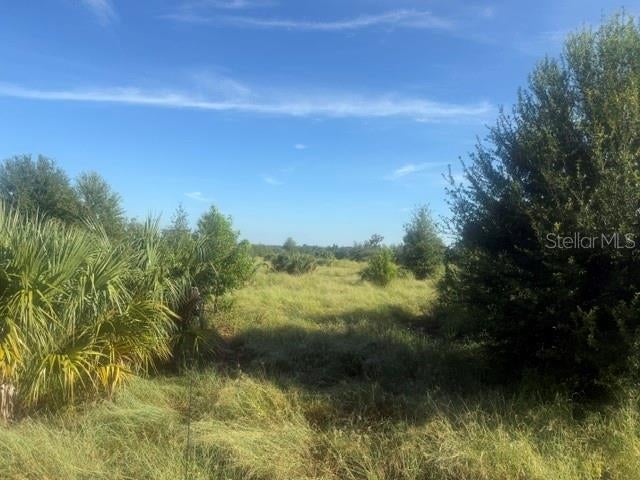 WELCOME ROAD Lot 2, LITHIA, FL, 33547 1 WELCOME ROAD Lot 2