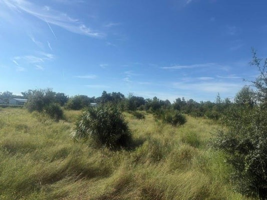 ADDRESS PRIVATE, LITHIA, FL 33547 - Image 034dc004e902785b698a304fe9fbcf86/3744913948