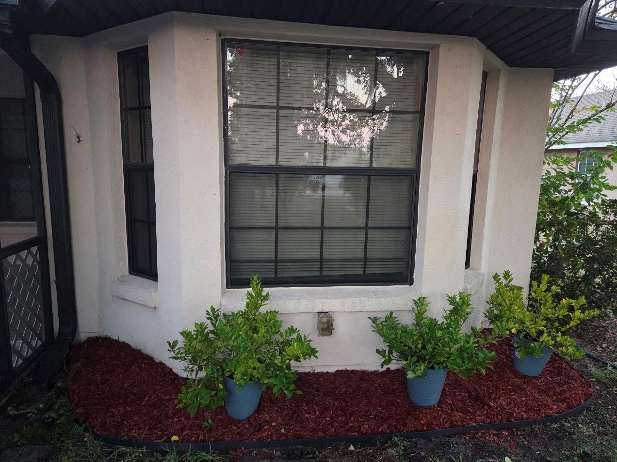 TAVARES GROVES AT BAYTREE PH 03 - Residential