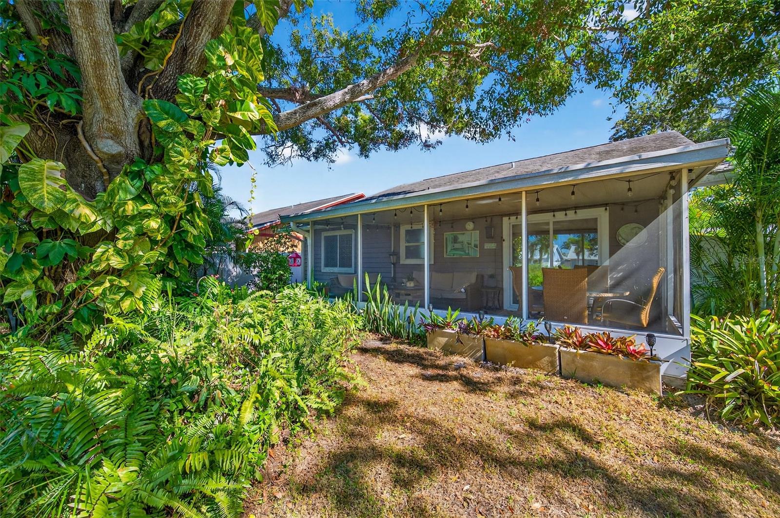 TALL PINES ESTATES PH IV - Residential