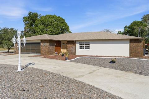 Photo of 8123 River Country Drive, Weeki Wachee, FL 34607 (MLS # W7880998)