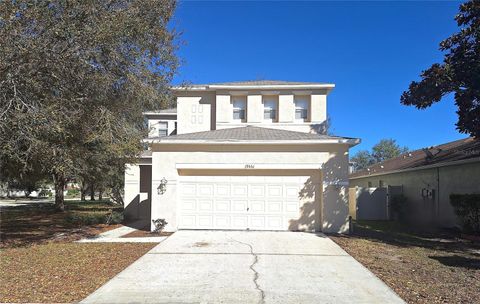 19551 TIMBERBLUFF DRIVE LAND O LAKES FL 34638