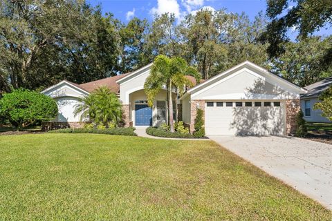 A home in APOPKA