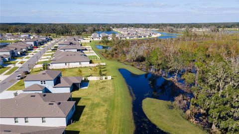 A home in PLANT CITY