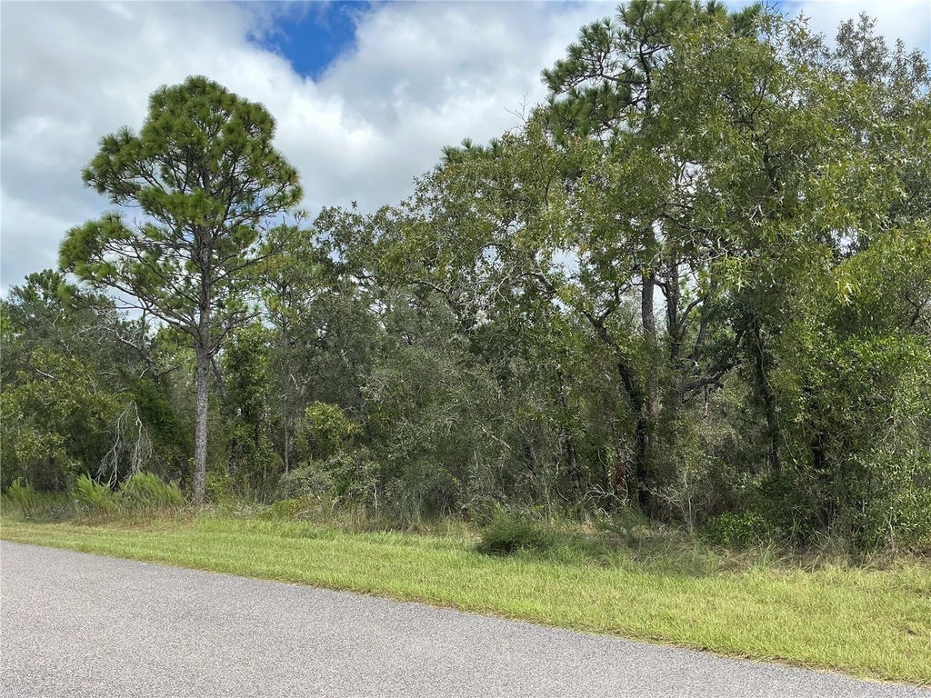 Photo of 12510 Marbled Godwit Road, Weeki Wachee, FL 34614 (MLS # OM734937)