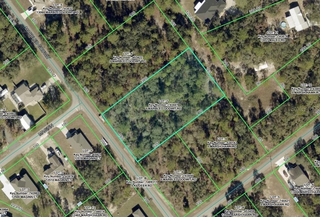 Photo of 12510 Marbled Godwit Road, Weeki Wachee, FL 34614 (MLS # OM734937)