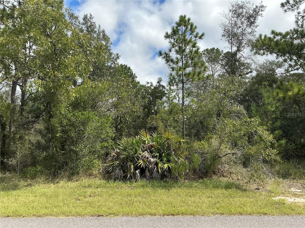Photo of 12510 Marbled Godwit Road, Weeki Wachee, FL 34614 (MLS # OM734937)