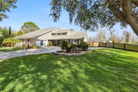 12545 S PUTNEY COURT LEESBURG FL 34788