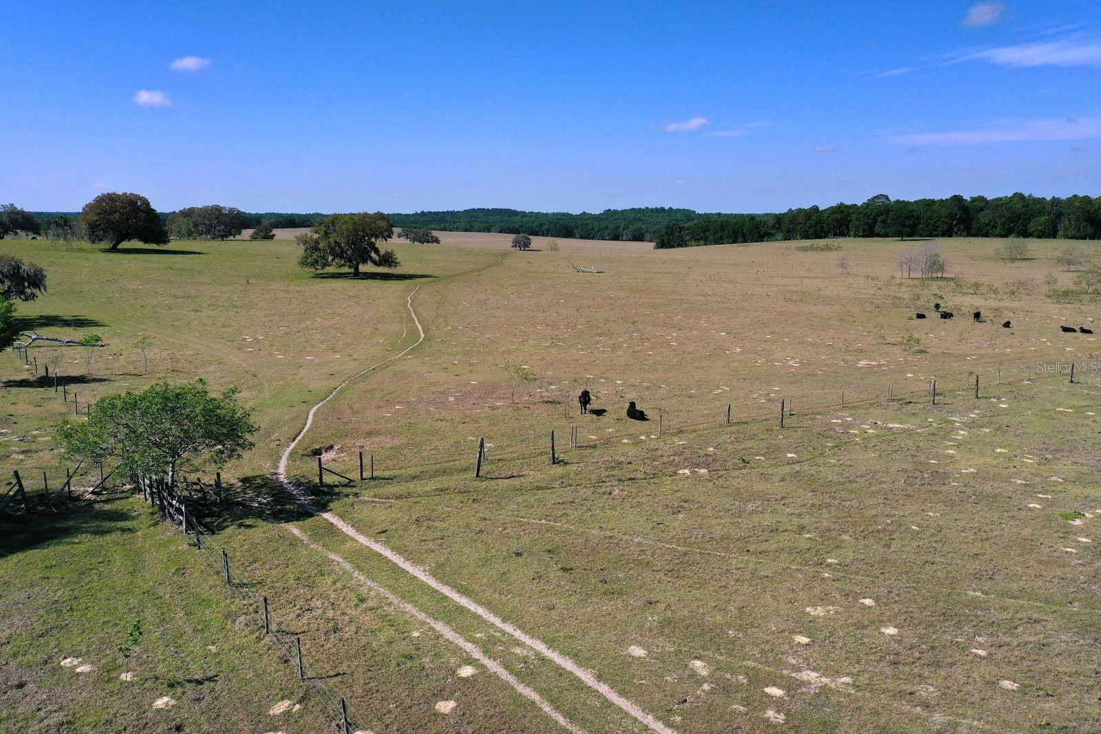 S OLD JONES RD ROAD