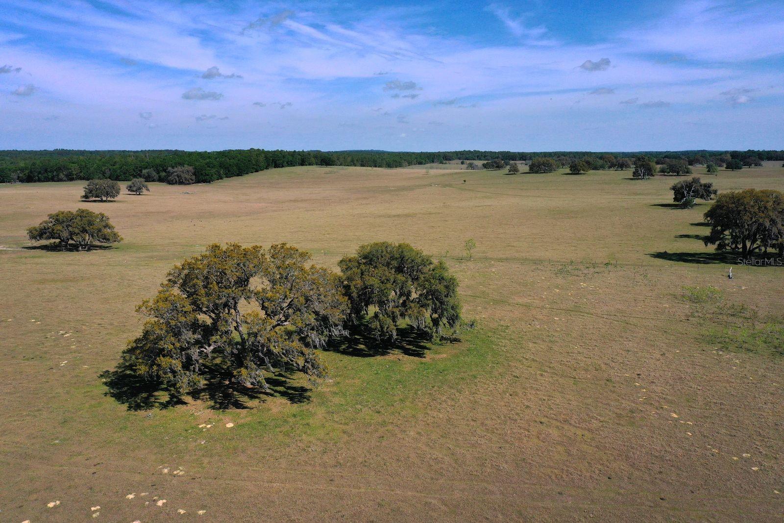 S OLD JONES RD ROAD