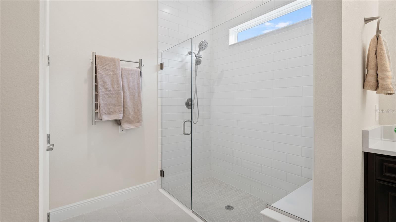 FOUR SEASONS AT ORLANDO PH 3C & 3D - Residential