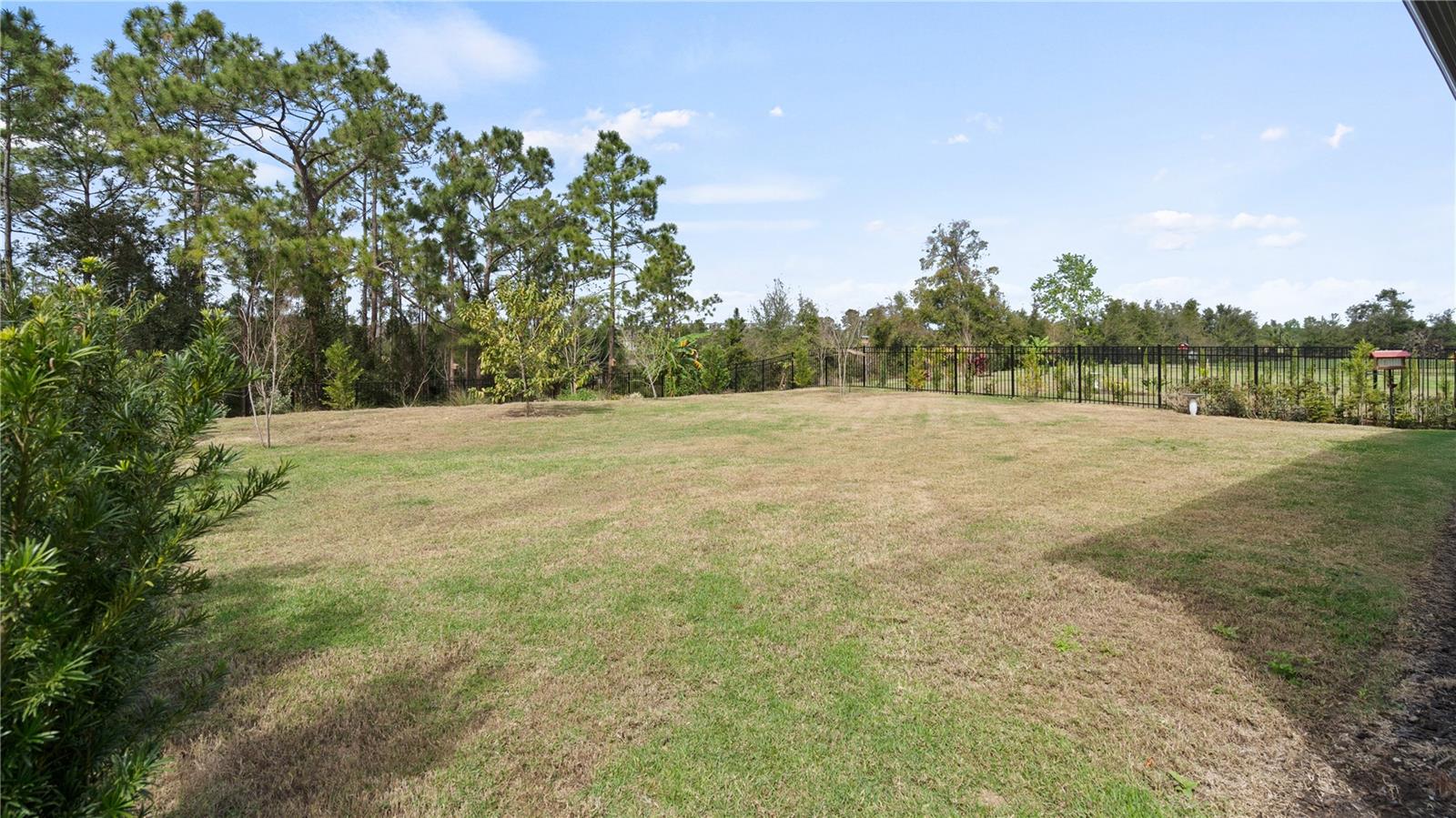 FOUR SEASONS AT ORLANDO PH 3C & 3D - Residential