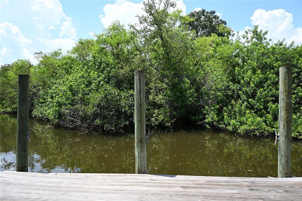 Photo of 8609 Driftwood Drive, Tampa, FL 33615 (MLS # TB8412032)