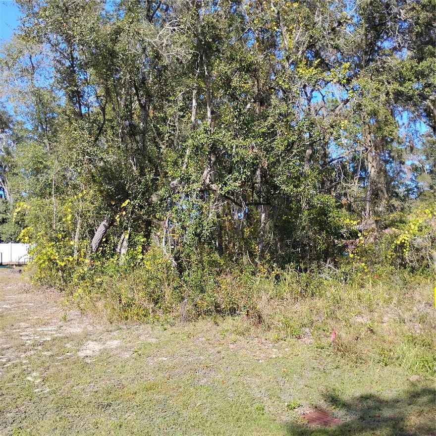GREAT BUILDERS LOT SEPTIC GRANDFATHER IN.  LOCATED IN A GROWING AREA. LOT IS SURROUNDED BY NEW HOMES ELECTRIC AT THE FRONT OF PROPERTY. LOCATED IN THE WOODS AND LAKES SUBDIVION WHERE OWNERS HAVE ACCESS TO JOIN THE WOODS AND LAKES AIRPARK. ALSO, IN THE OCALA NATIONAL FOREST WHERE YOU CAN ENJOY TONS OF OUTDOOR ACTIVITIES.
