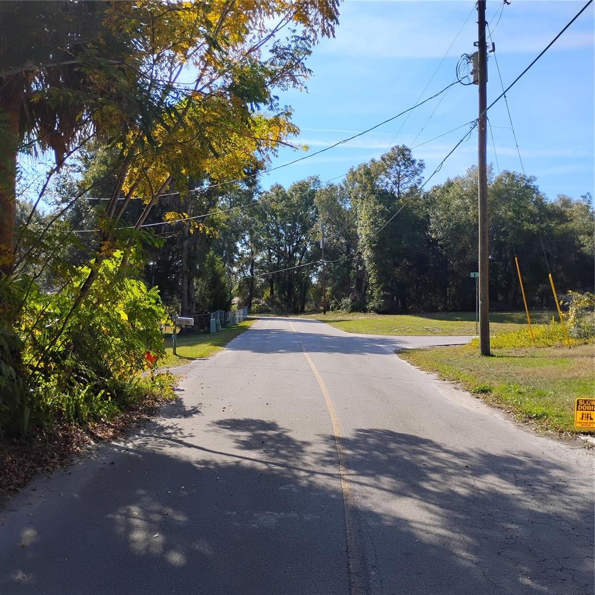 WOODS & LAKES - Land