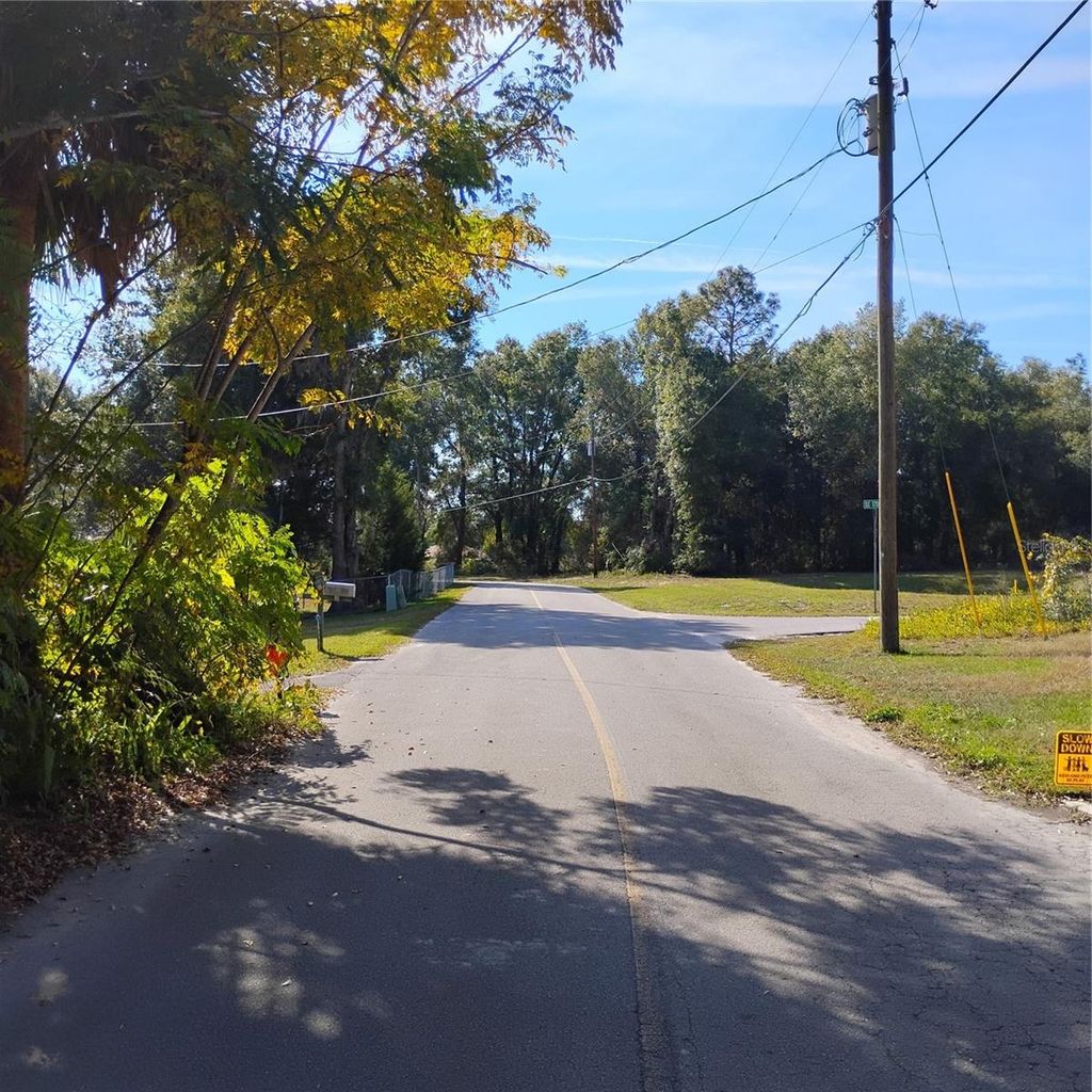 Photo of Tbd SE 61st Place, Ocklawaha, FL 32179 (MLS # OM713708)