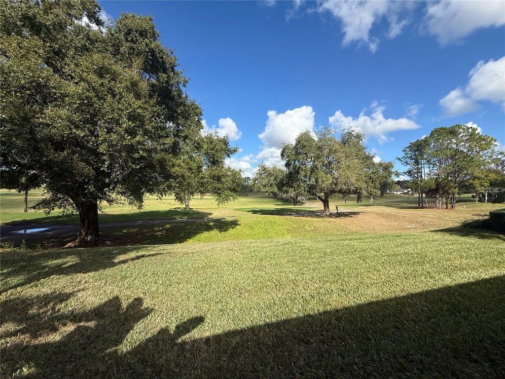 Photo of 2066 Dobson Street, Clermont, FL 34711 (MLS # G5105932)