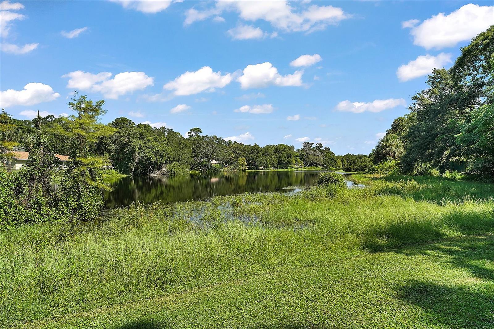 MOUNT DORA PT REP PINE CREST UNIT 02 - Residential