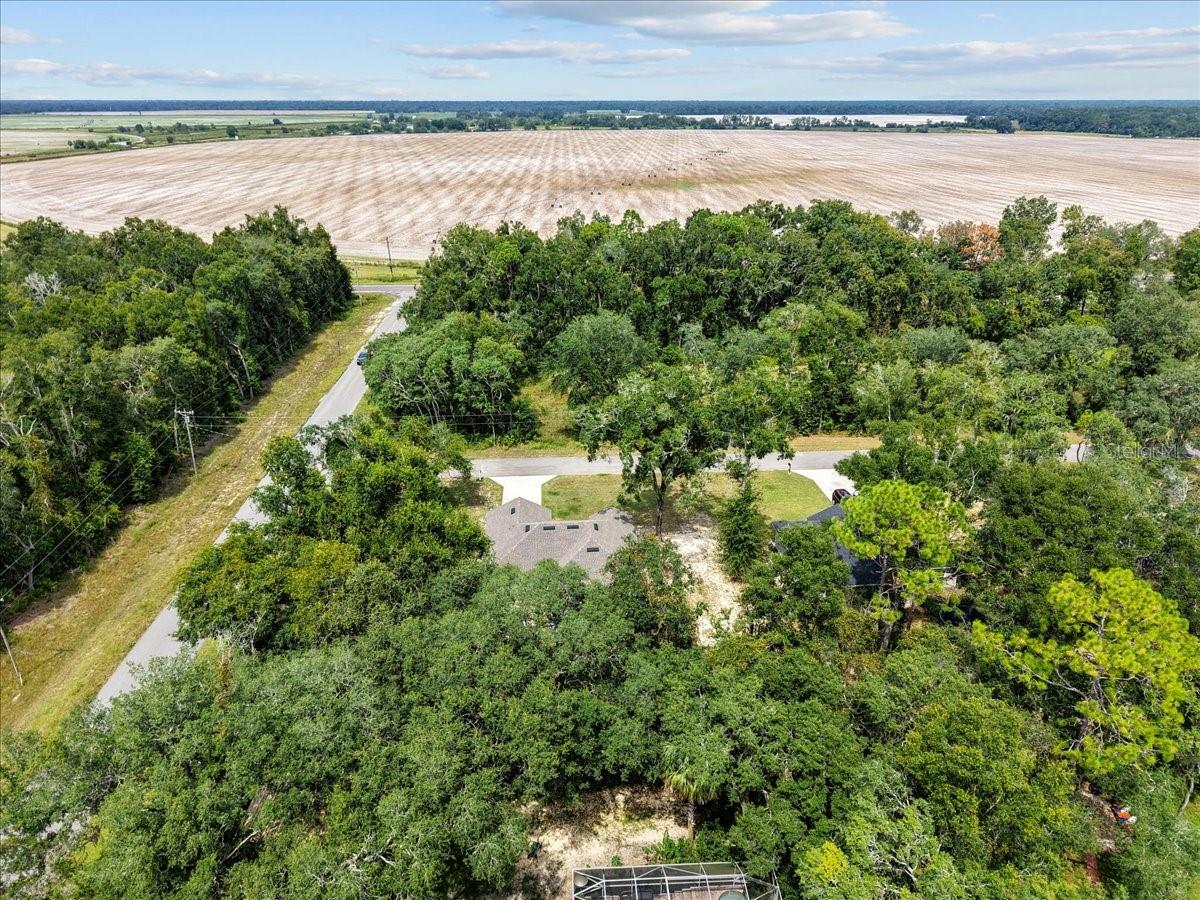 CHIEFLAND COUNTRY ESTATES - Residential