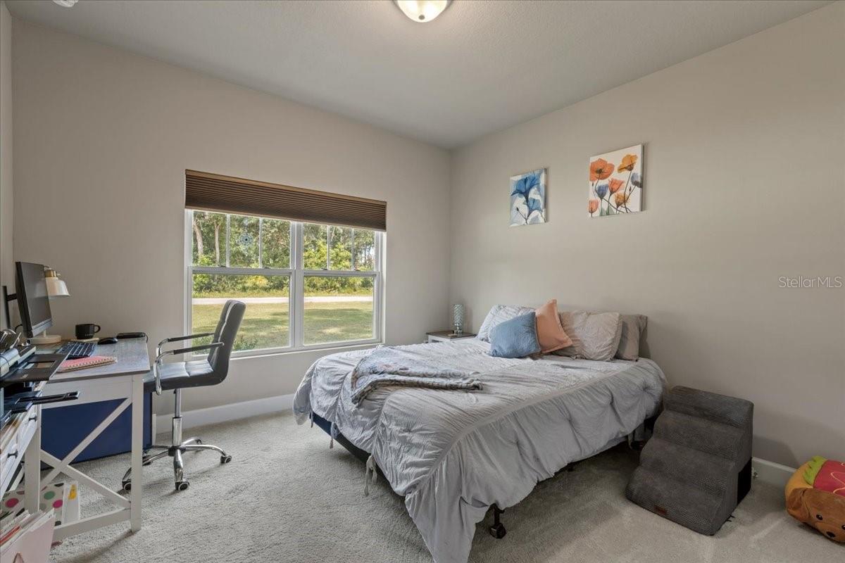 CHIEFLAND COUNTRY ESTATES - Residential