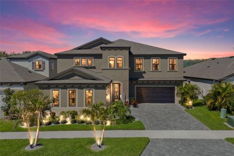 13019 WILDFLOWER MEADOW DRIVE RIVERVIEW FL 33579