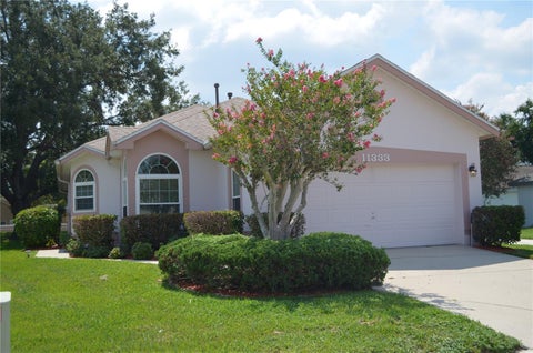 Photo of 11333 Pink Blossom Court, Orlando, FL 32821 (MLS # O6425943)