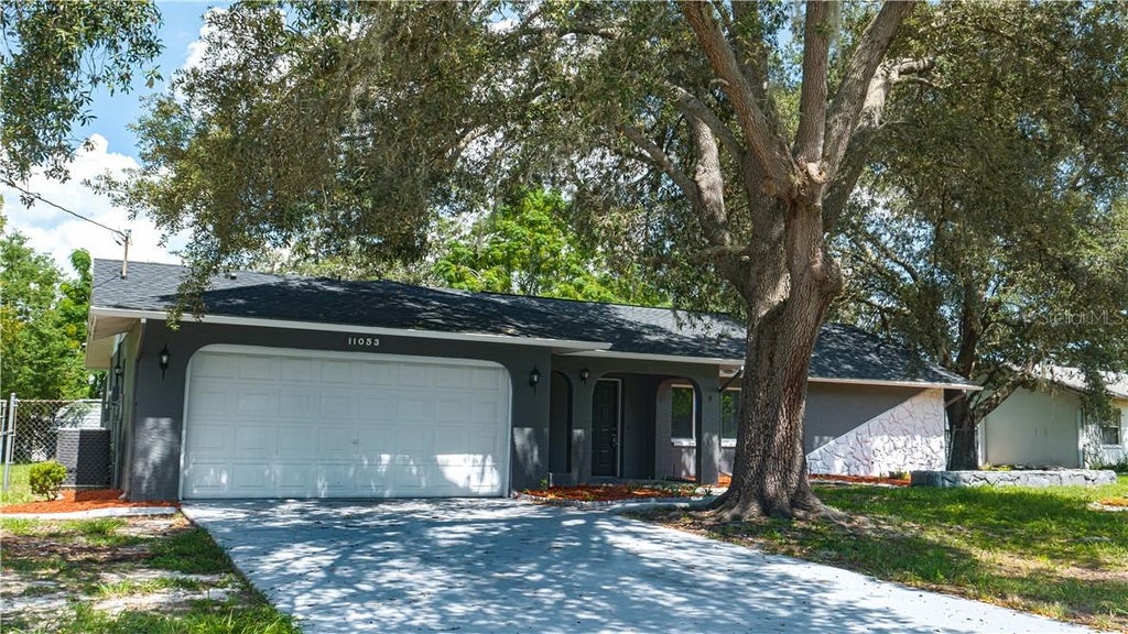 Photo of 11053 Mayflower Road, Spring Hill, FL 34608 (MLS # S5159706)