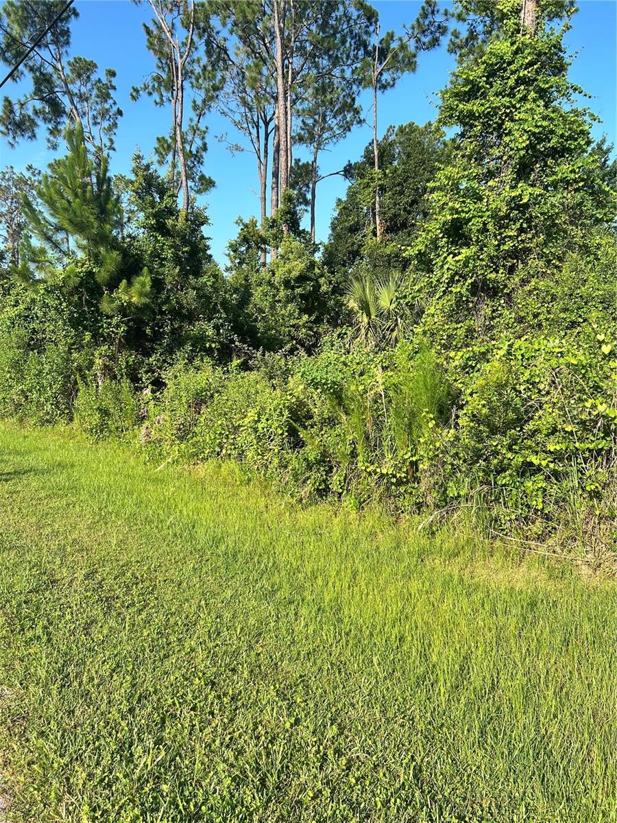 Photo 1 of 7 — 6 RYBERRY DRIVE, PALM COAST, FL 32164