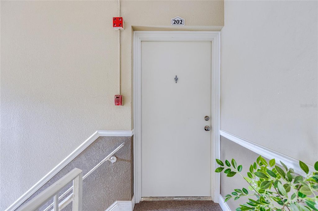 Photo of 13718 Orange Sunset Drive #202, Tampa, FL 33618 (MLS # TB8407198)