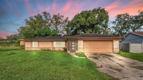 A home in DELTONA