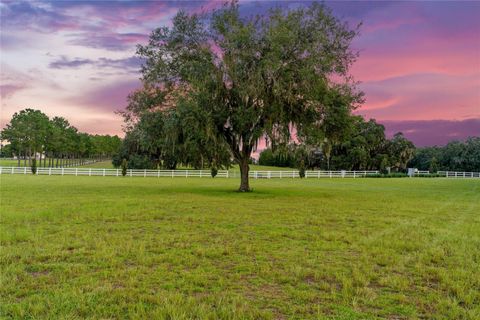 Tiny photo for 21679 SW 106th Lane Road, Dunnellon, FL 34431 (MLS # OM707484)