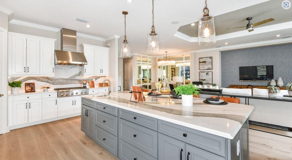 ESPLANADE AT SKYE RANCH - Residential