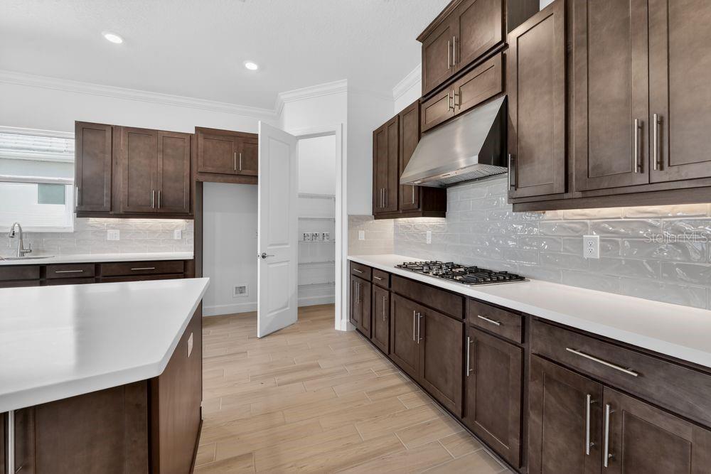 10213 SILENT NIGHT LANE