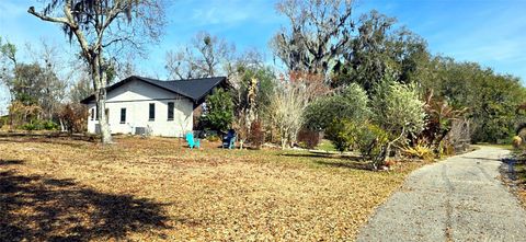 Photo of 14820 County Road 48, Astatula, FL 34705 (MLS # O6409343)