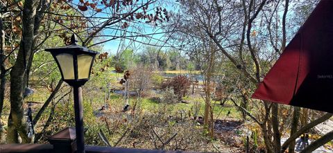Tiny photo for 14820 County Road 48, Astatula, FL 34705 (MLS # O6409343)