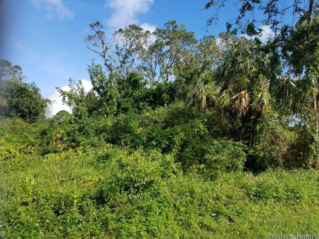 Florida Shores 01 - Land