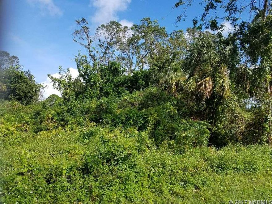 HUGE corner lot to build your dream home in a convenient area of Florida Shores. Currently recorded as two separate parcels, there is plenty of room to build a large home, add a pool, create a workshop or man cave, build an extra garage with apartment or design a mother in law suite. You might decide to keep one parcel for yourself and sell off the other. Lots of choices here - let your imagination work for you! Only 15 minutes to New Smyrna's beach, close to Daytona, 3 nearby airports and a short trip to central Florida theme parks. Don't let this opportunity pass you by!; Cleared: Partial ;Water: Available at Site