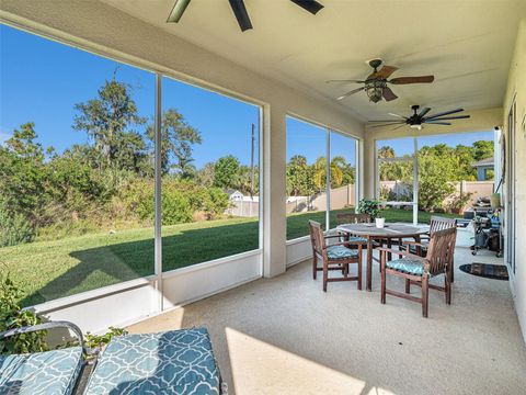 A home in APOLLO BEACH