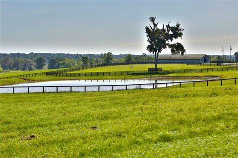 Tiny photo for 13375 W Highway 318, Williston, FL 32696 (MLS # OM692794)