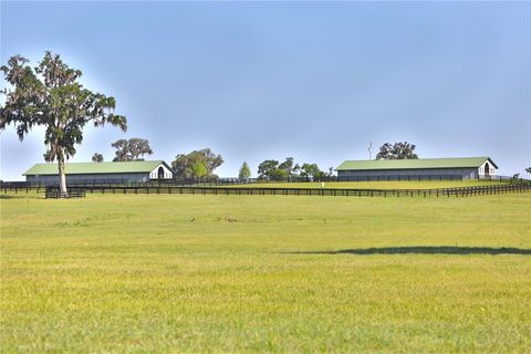 Tiny photo for 13375 W Highway 318, Williston, FL 32696 (MLS # OM692794)