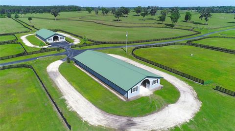 Tiny photo for 13375 W Highway 318, Williston, FL 32696 (MLS # OM692794)