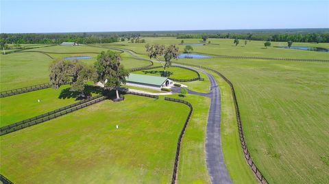 Tiny photo for 13375 W Highway 318, Williston, FL 32696 (MLS # OM692794)