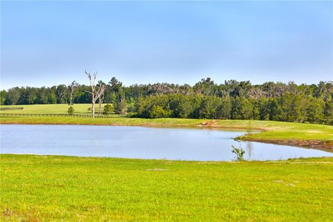 Tiny photo for 13375 W Highway 318, Williston, FL 32696 (MLS # OM692794)