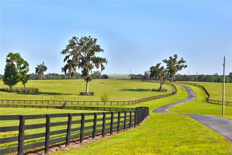 Tiny photo for 13375 W Highway 318, Williston, FL 32696 (MLS # OM692794)