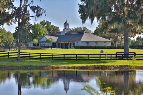 Tiny photo for 13375 W Highway 318, Williston, FL 32696 (MLS # OM692794)