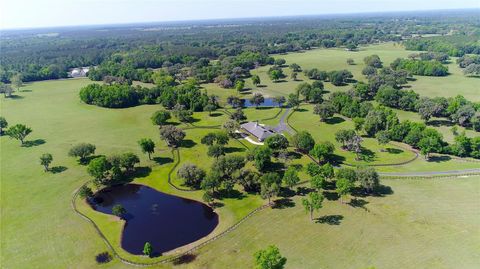 Tiny photo for 13375 W Highway 318, Williston, FL 32696 (MLS # OM692794)