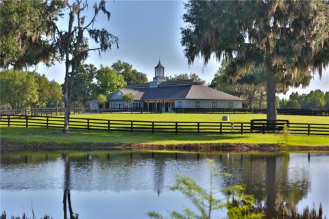 Tiny photo for 13375 W Highway 318, Williston, FL 32696 (MLS # OM692794)