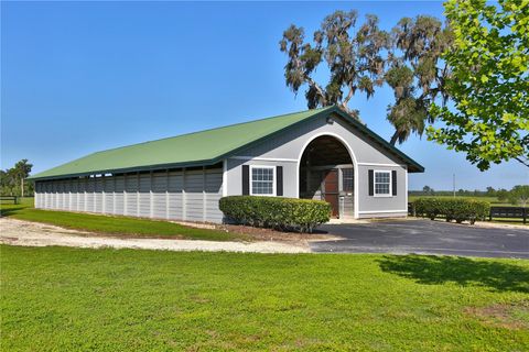 Tiny photo for 13375 W Highway 318, Williston, FL 32696 (MLS # OM692794)